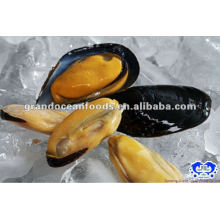 IQF mejillones de carne con mariscos shell